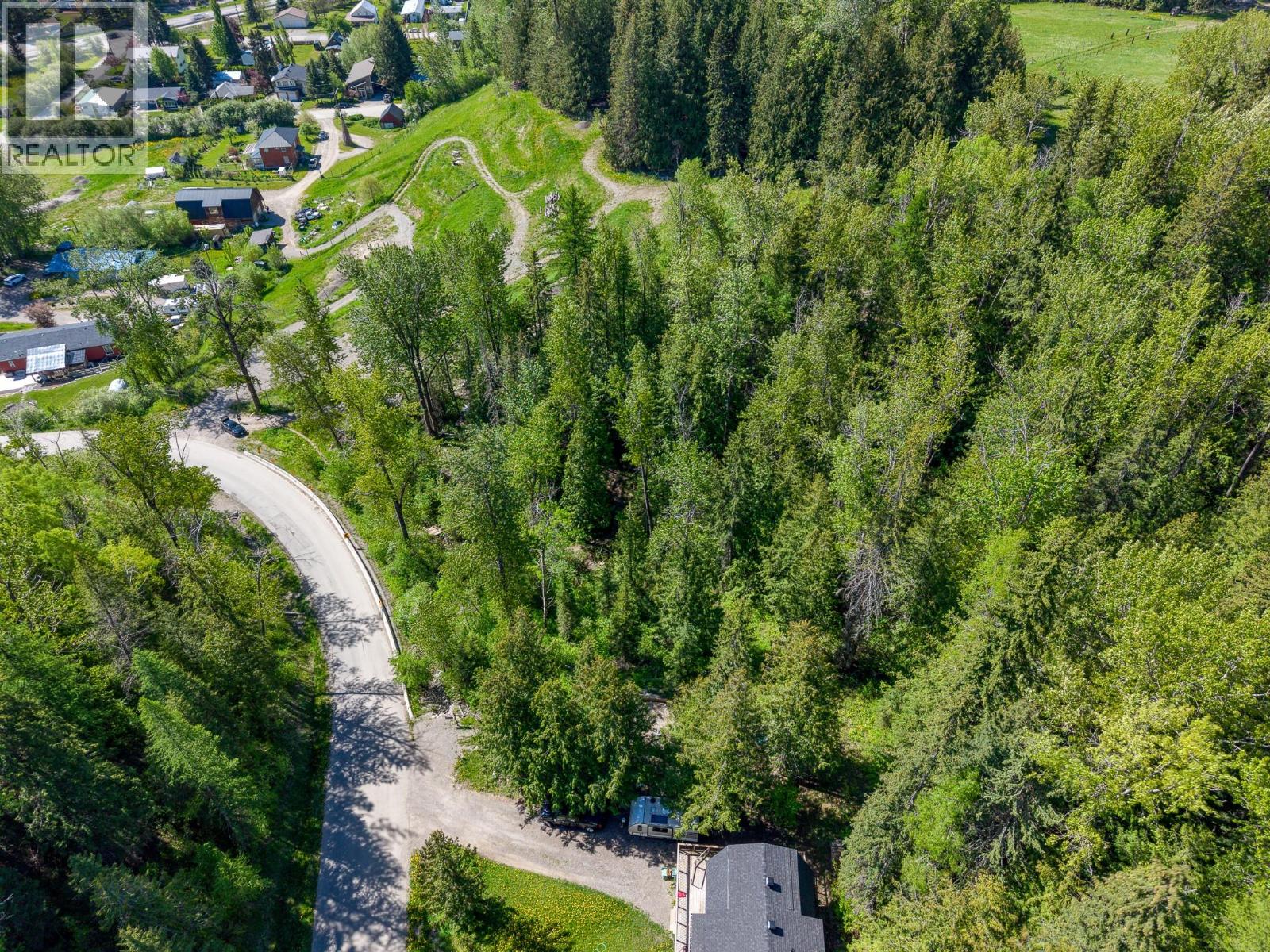 300 Burma Road, Fernie, British Columbia  V0B 1M0 - Photo 3 - 10389085