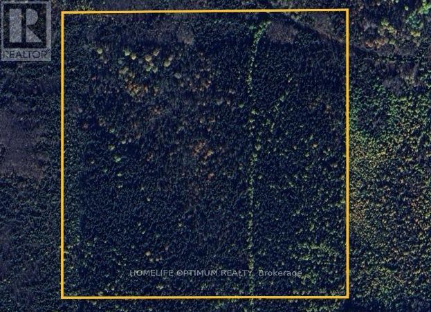 Sw 1/4 Of N 1/2 Lt 6 Con5 Hoyle Township Pcl 14974, Timmins, Ontario  P0N 1C0 - Photo 2 - T13206350