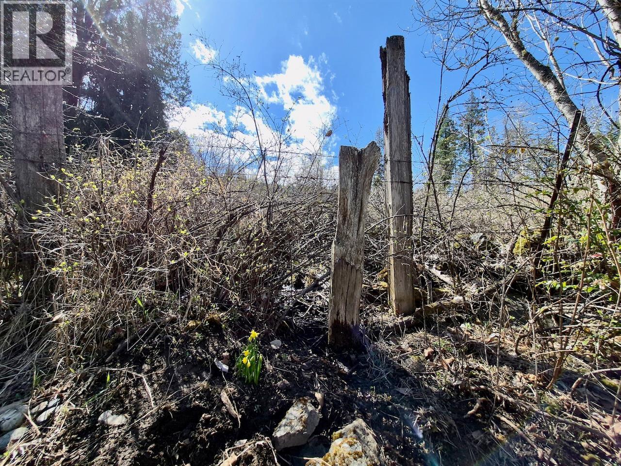 3297 Vindusky Road, Nelson, British Columbia  V1L 6X7 - Photo 27 - 10385170