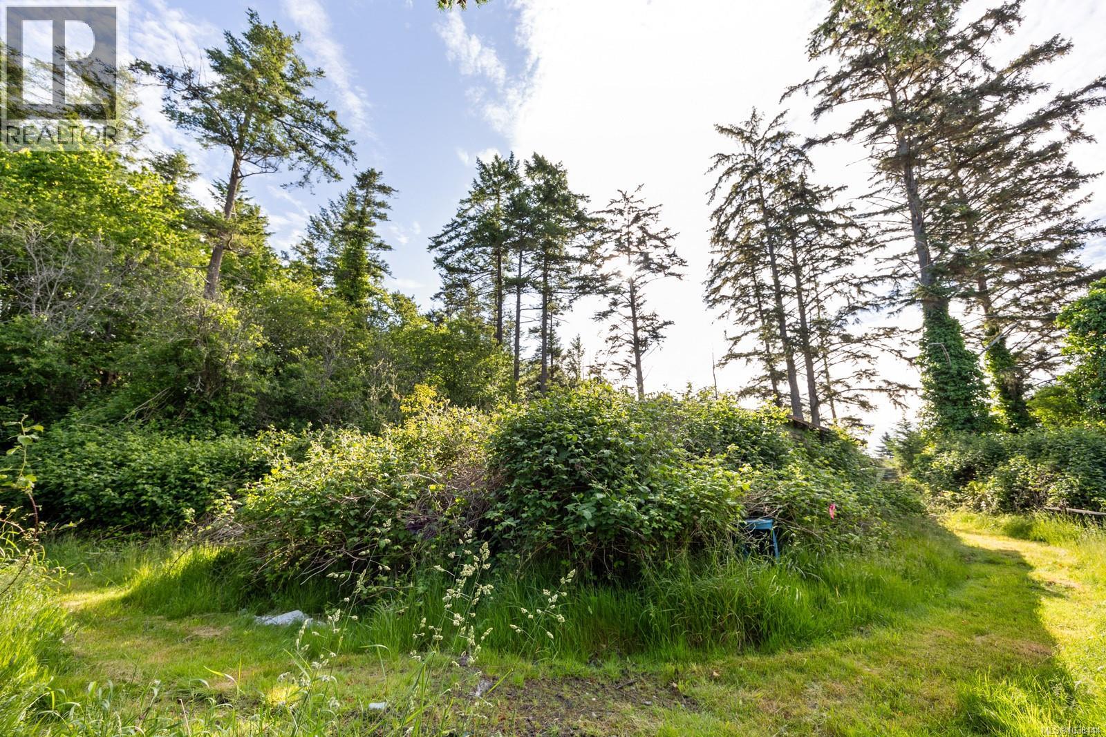 348 Lazo Rd, Comox, British Columbia  V9M 3T9 - Photo 22 - 1038444