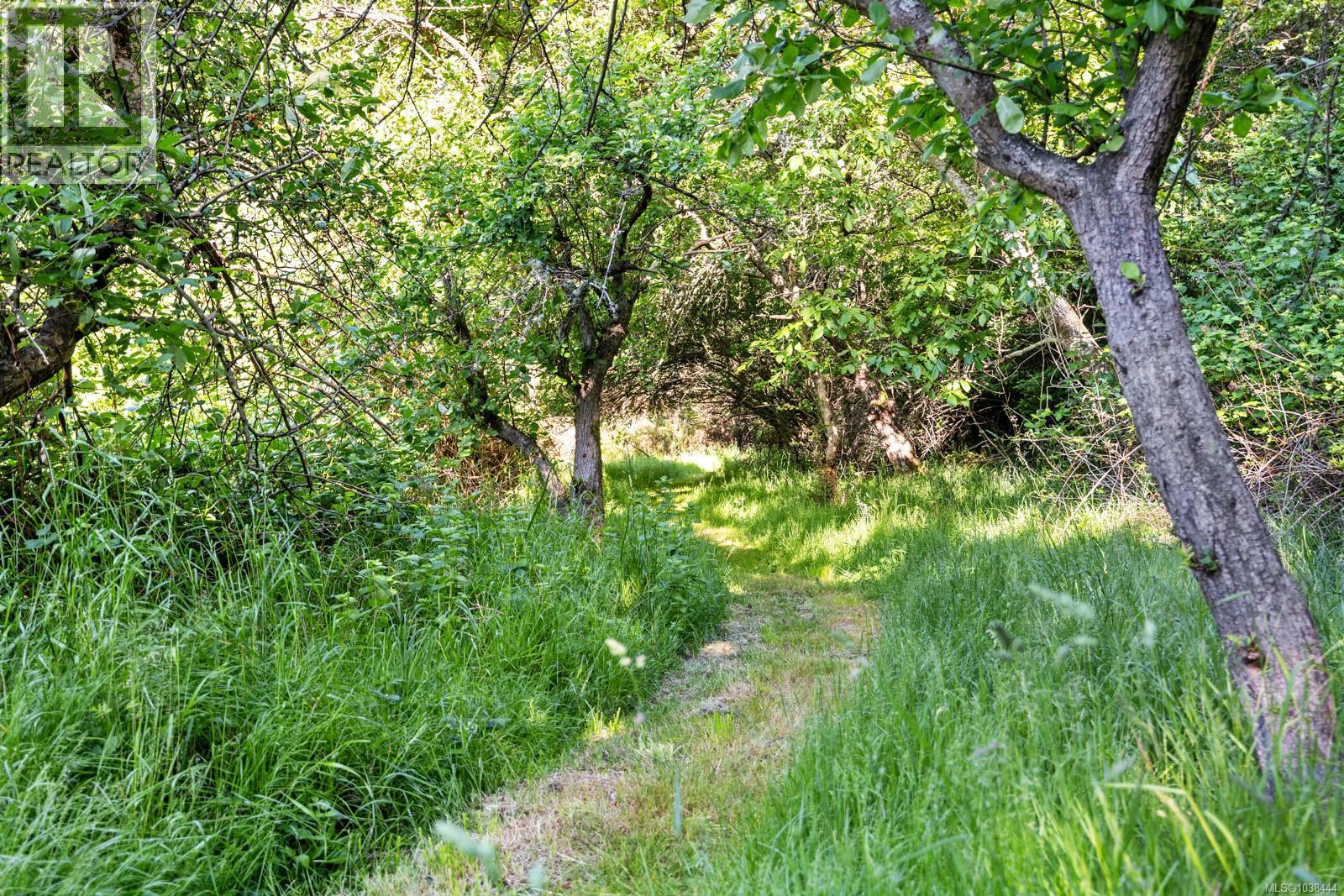 348 Lazo Rd, Comox, British Columbia  V9M 3T9 - Photo 25 - 1038444