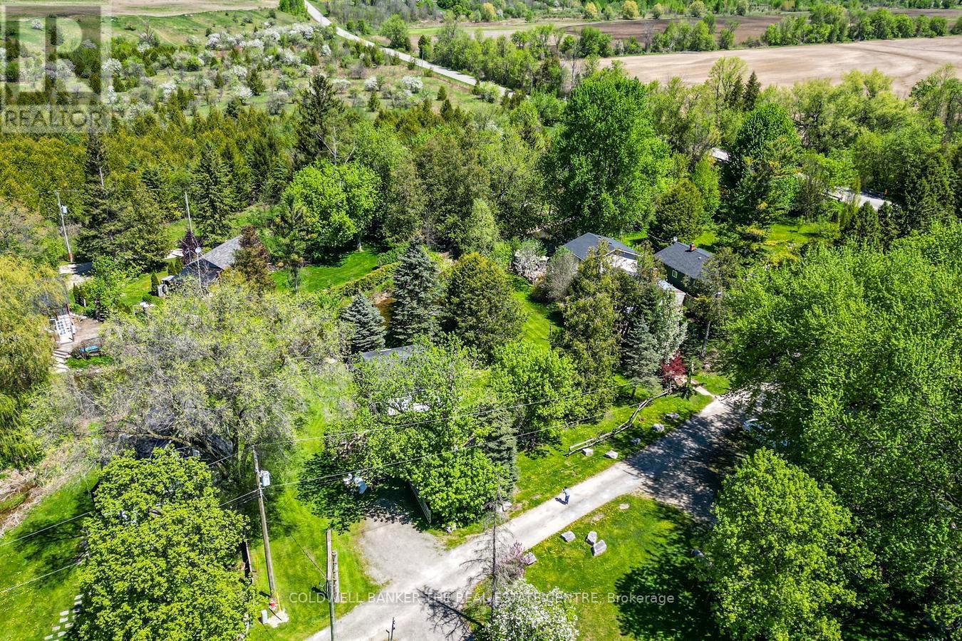 8480 Nottawasaga River Road, Adjala-Tosorontio, Ontario  L0G 1L0 - Photo 5 - N13206504