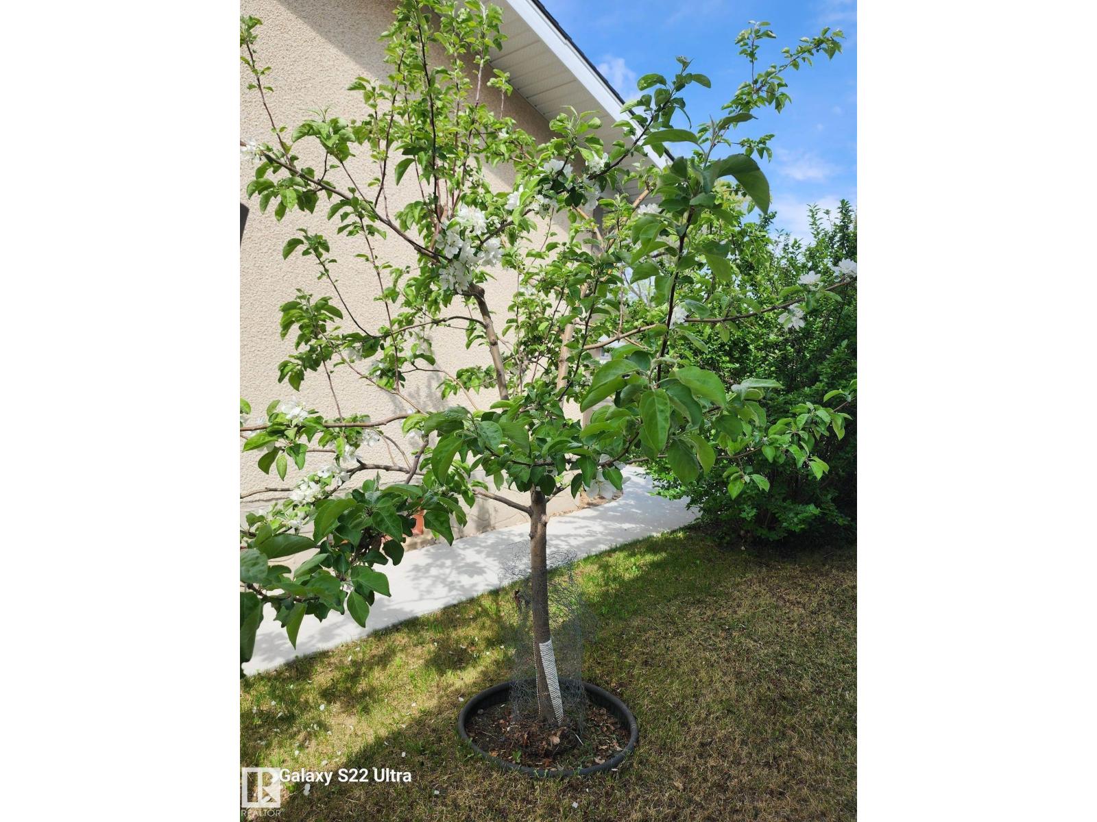 Lorem Ipsu, Leduc, Alberta  T9E  - Photo 16 - DEMO29816270