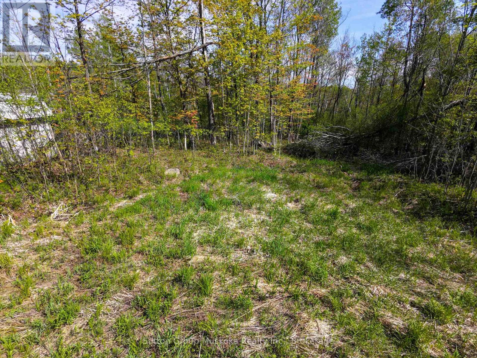 359 Town Line Road W, Huntsville, Ontario  P1H 1T8 - Photo 13 - X13206696