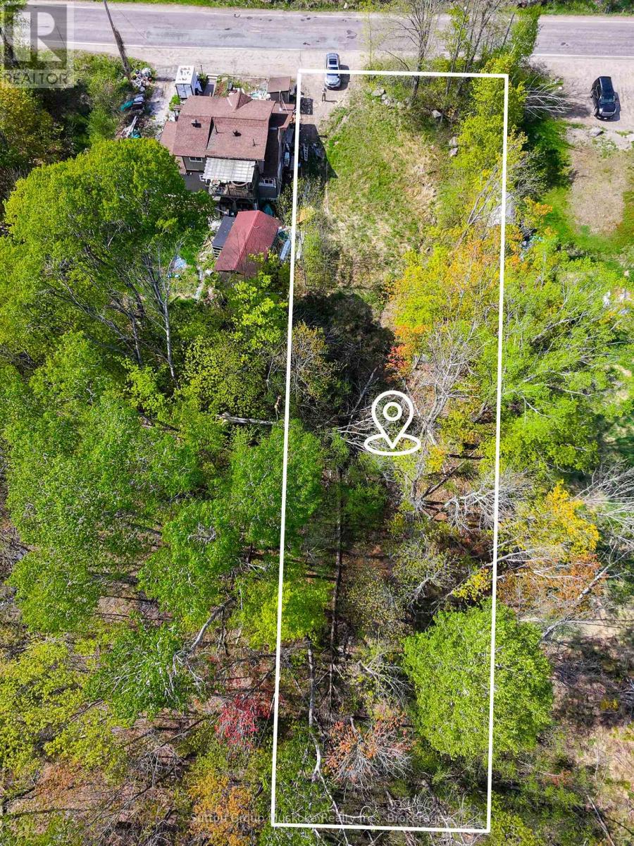 359 Town Line Road W, Huntsville, Ontario  P1H 1T8 - Photo 6 - X13206696