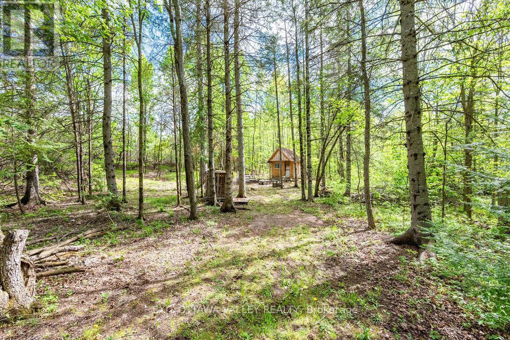 00 Mineview Road, Whitewater Region, Ontario  K0J 1Y0 - Photo 21 - X13206734
