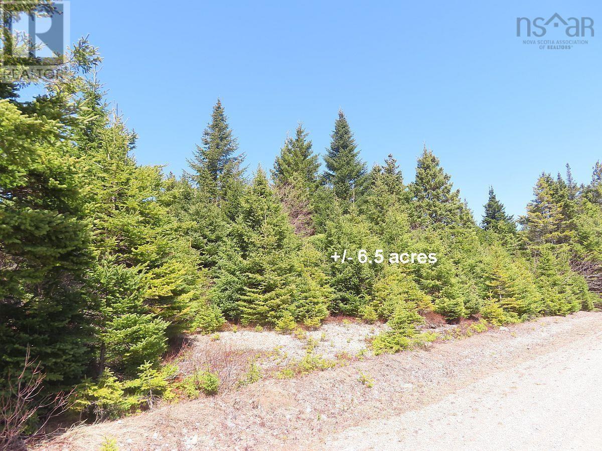 169.5 Acres Tompkinsville Road, Tompkinsville, Nova Scotia  B0H 1N0 - Photo 31 - 202612398