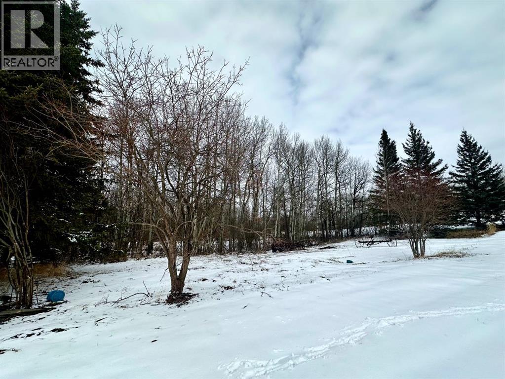 50124 Range Road 203, Rural Beaver County, Alberta  T0B 4J2 - Photo 10 - A2300447
