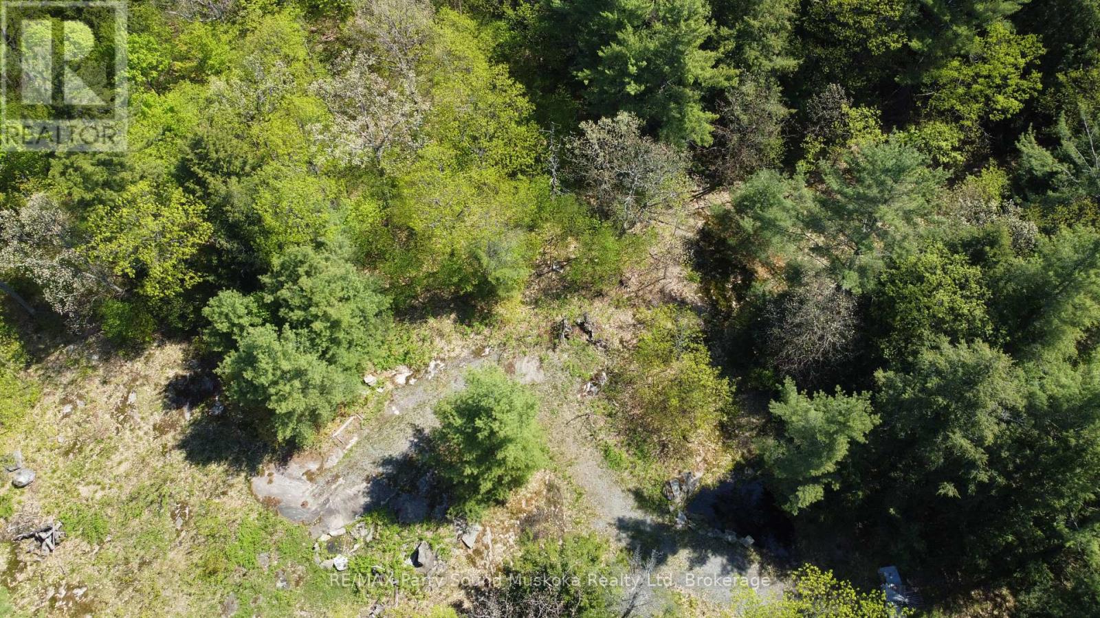 175 North Sandy Plains Road, Seguin, Ontario  P2A 2W8 - Photo 13 - X13206770