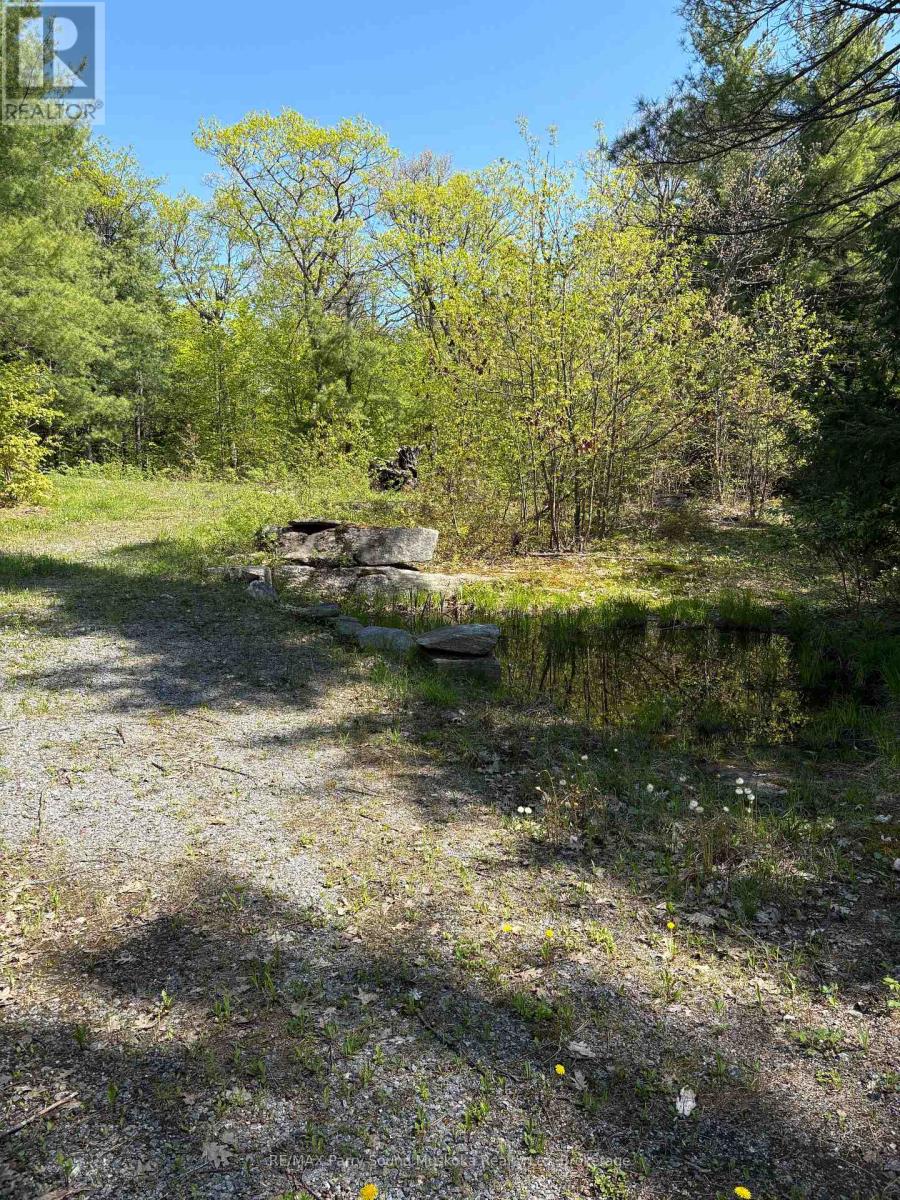 175 North Sandy Plains Road, Seguin, Ontario  P2A 2W8 - Photo 16 - X13206770