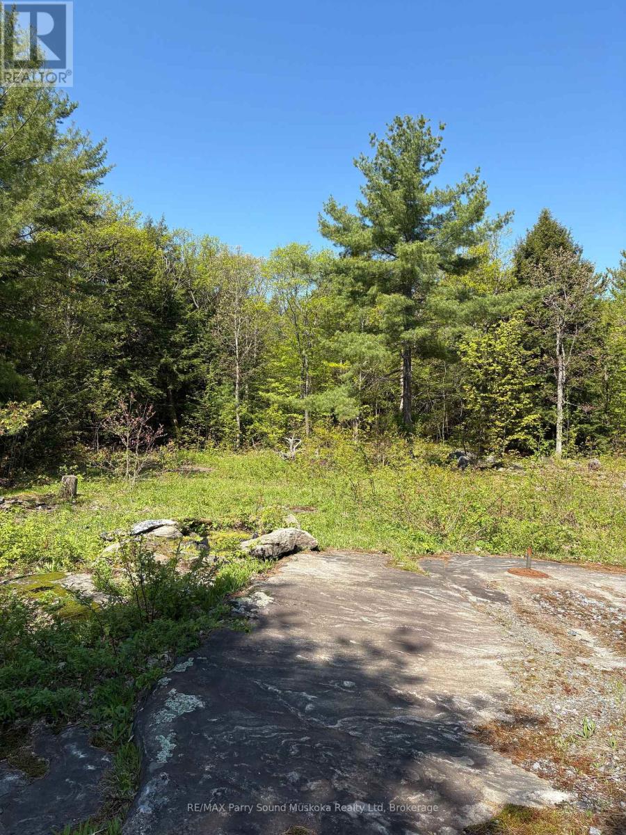 175 North Sandy Plains Road, Seguin, Ontario  P2A 2W8 - Photo 18 - X13206770