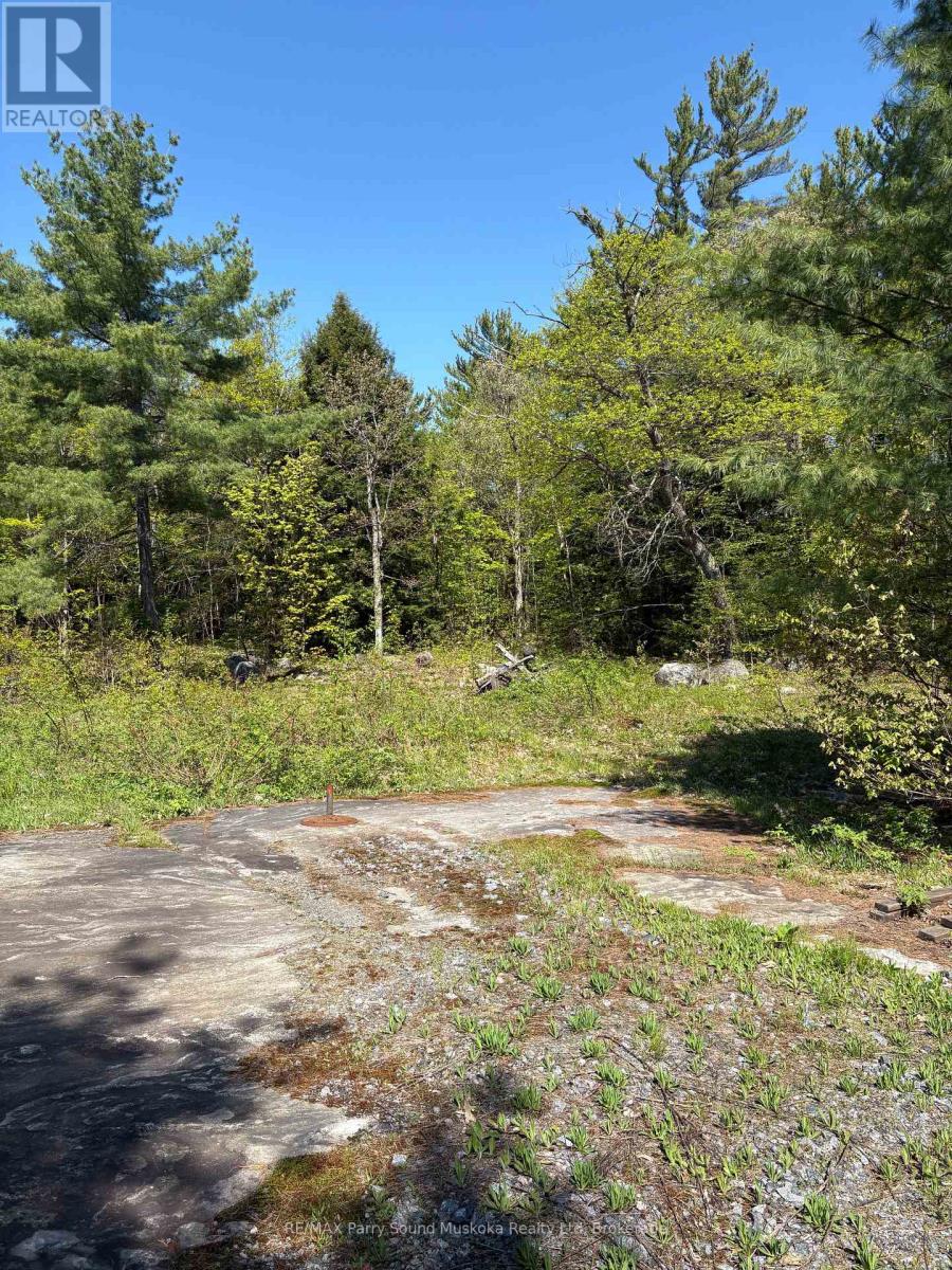 175 North Sandy Plains Road, Seguin, Ontario  P2A 2W8 - Photo 19 - X13206770