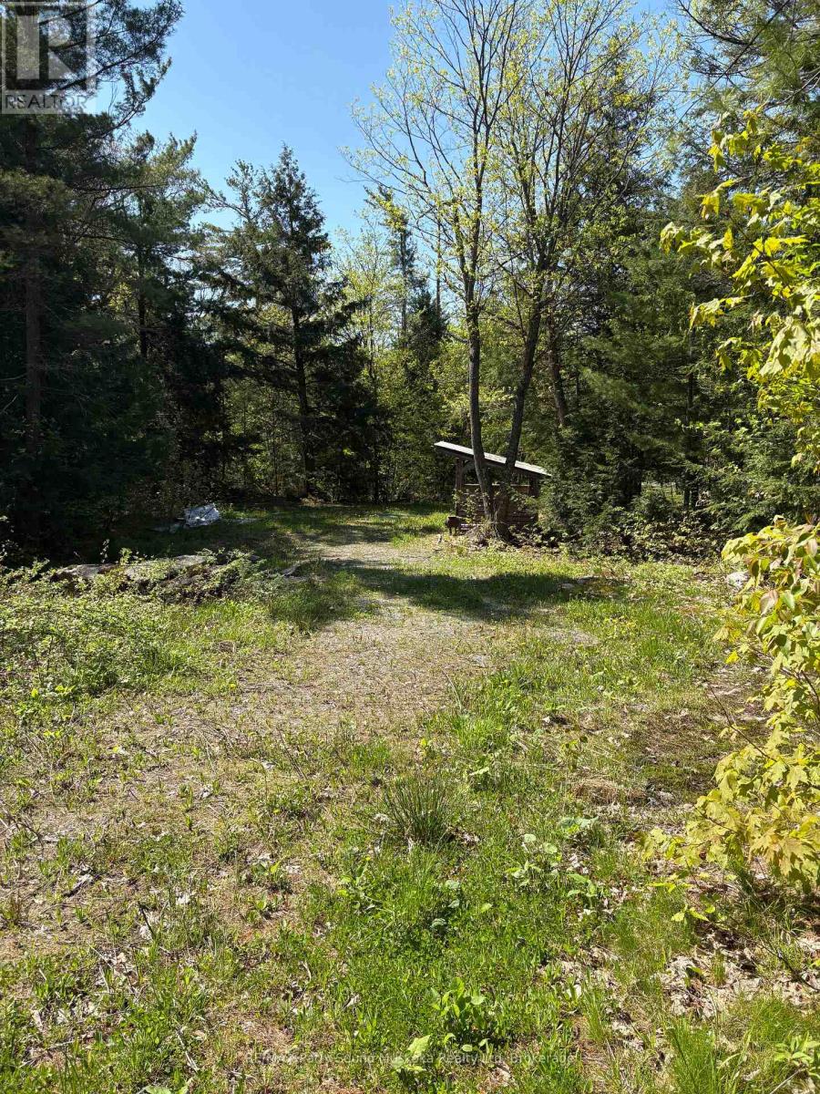 175 North Sandy Plains Road, Seguin, Ontario  P2A 2W8 - Photo 20 - X13206770