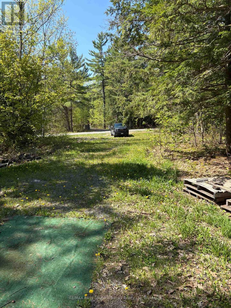 175 North Sandy Plains Road, Seguin, Ontario  P2A 2W8 - Photo 21 - X13206770