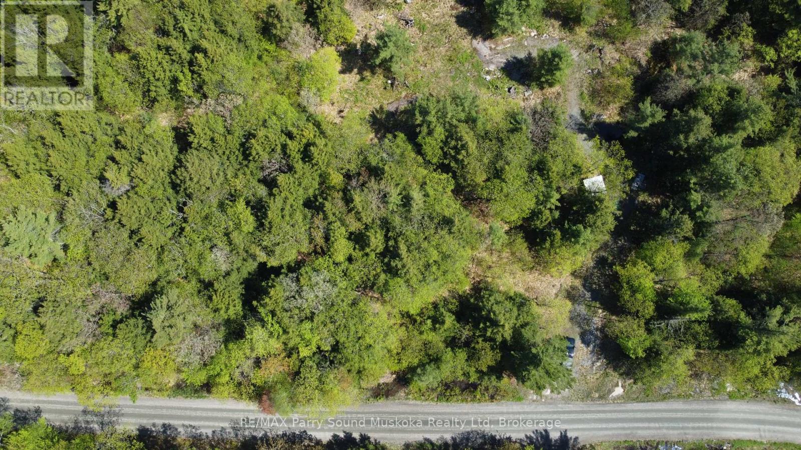 175 North Sandy Plains Road, Seguin, Ontario  P2A 2W8 - Photo 3 - X13206770