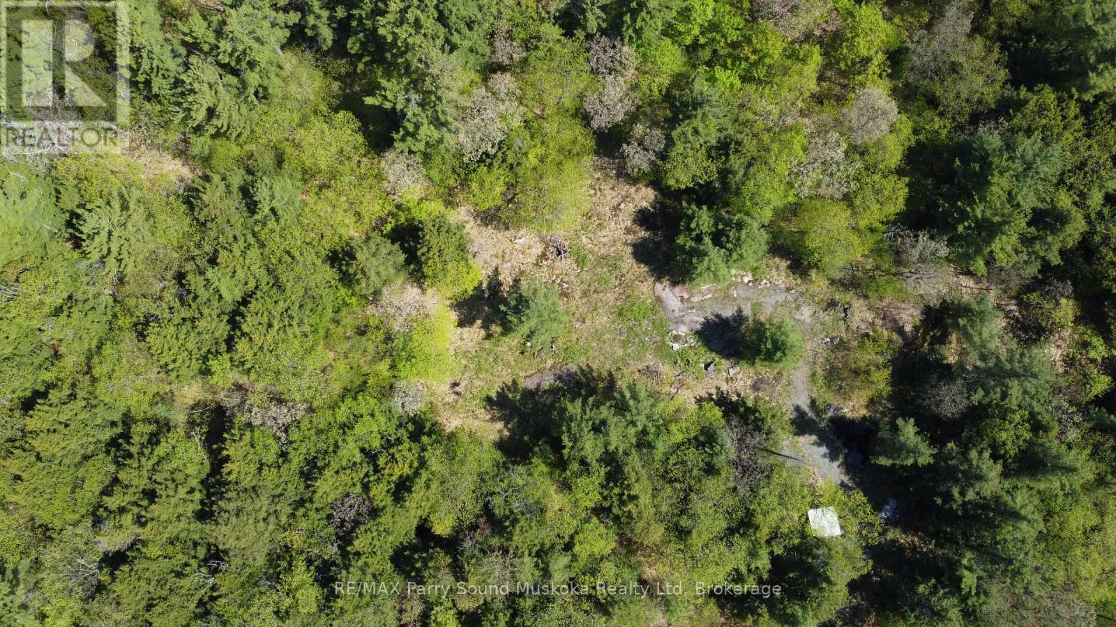 175 North Sandy Plains Road, Seguin, Ontario  P2A 2W8 - Photo 4 - X13206770