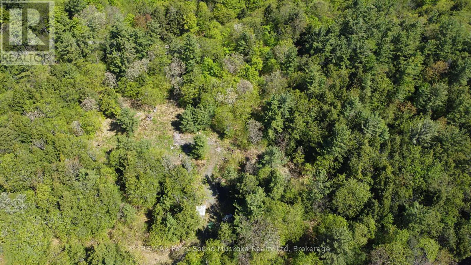 175 North Sandy Plains Road, Seguin, Ontario  P2A 2W8 - Photo 5 - X13206770