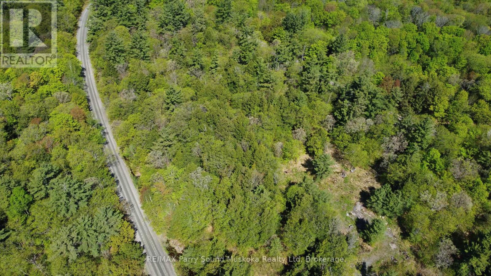 175 North Sandy Plains Road, Seguin, Ontario  P2A 2W8 - Photo 6 - X13206770