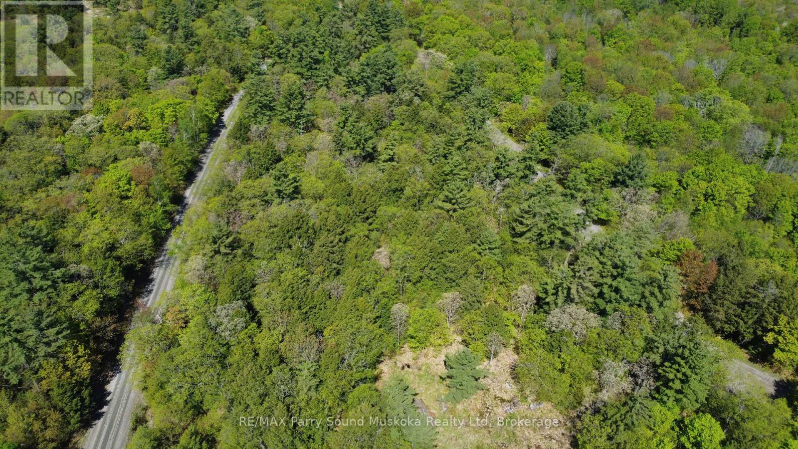 175 North Sandy Plains Road, Seguin, Ontario  P2A 2W8 - Photo 8 - X13206770