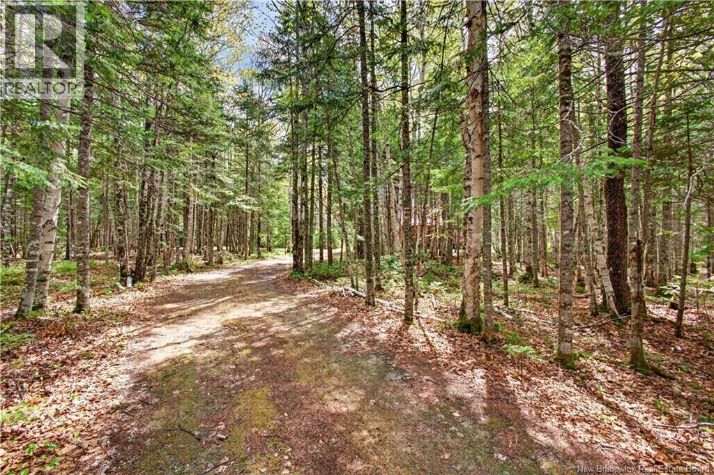 346 Gum Road, Bartibog Bridge, New Brunswick  E1V 7H6 - Photo 30 - NB140346