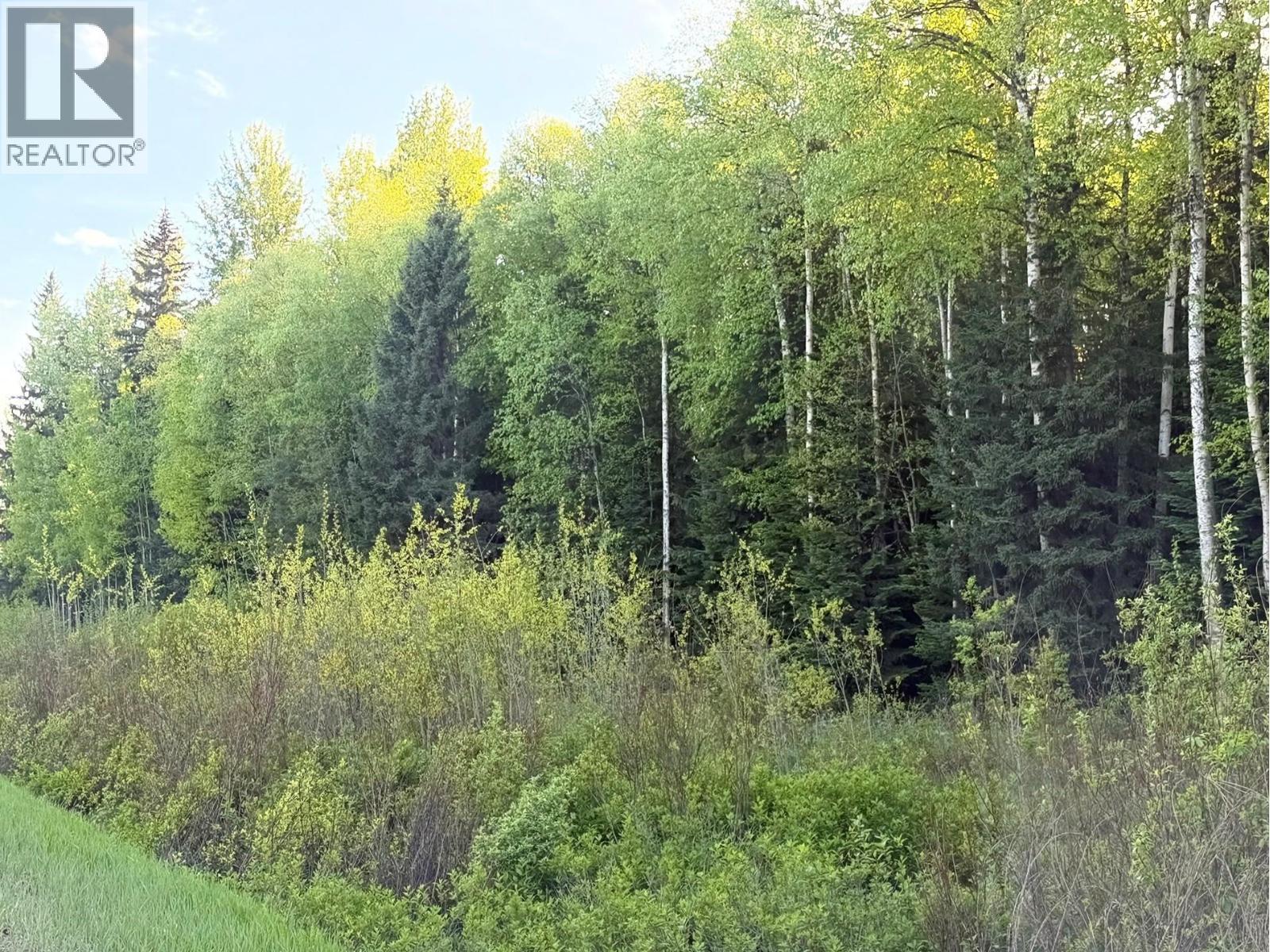 10133 Hart Hwy, Prince George, British Columbia  V2K 5T8 - Photo 6 - R3129125