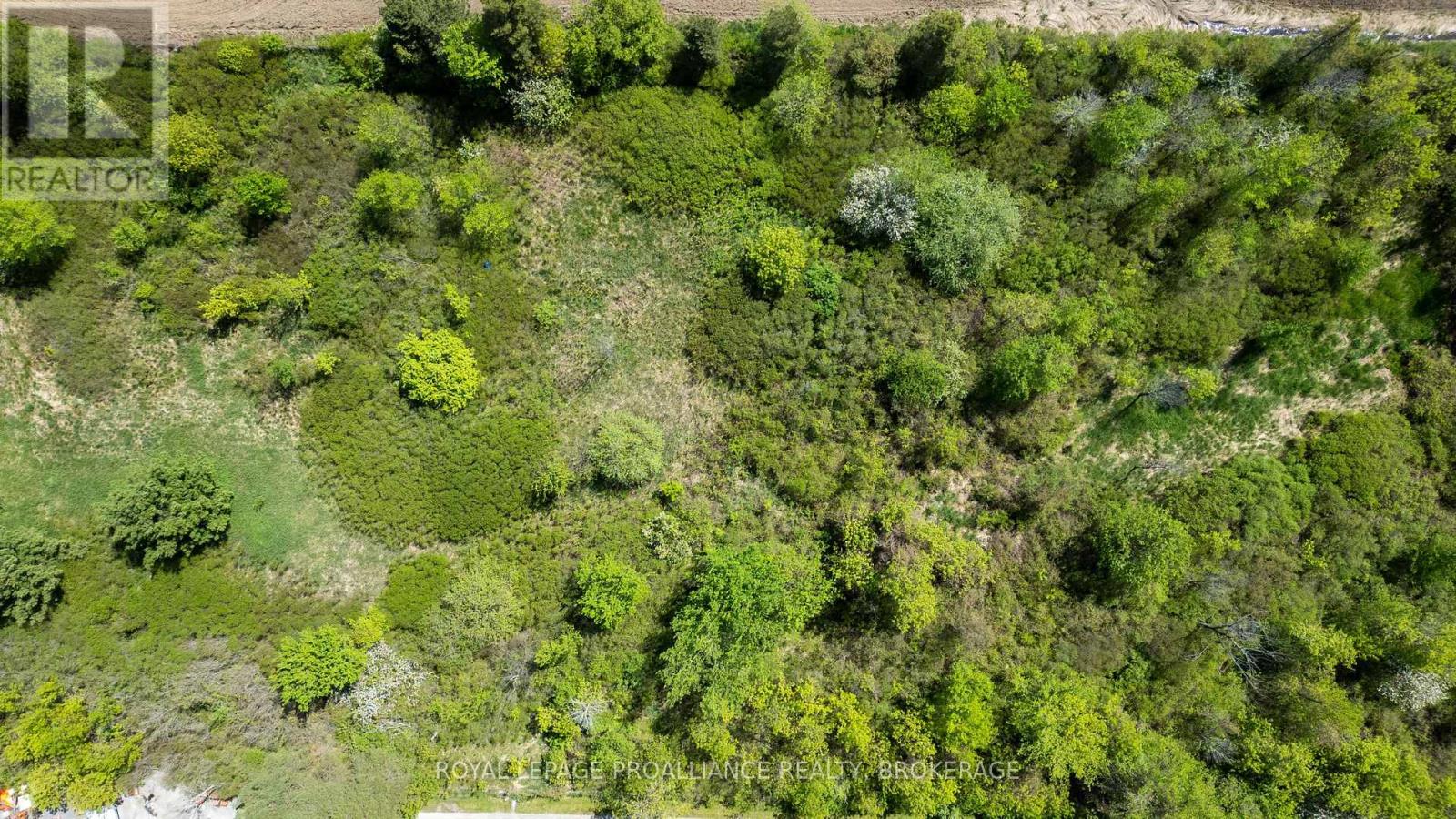 2503 6th Concession Road, Kingston, Ontario  K0H 1Y0 - Photo 44 - X13206988