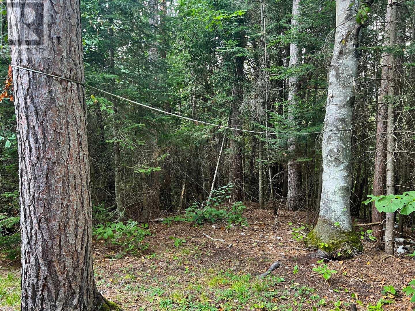 261 Browns Road, Brudenell, Ontario  K0L 1G0 - Photo 30 - X13207116