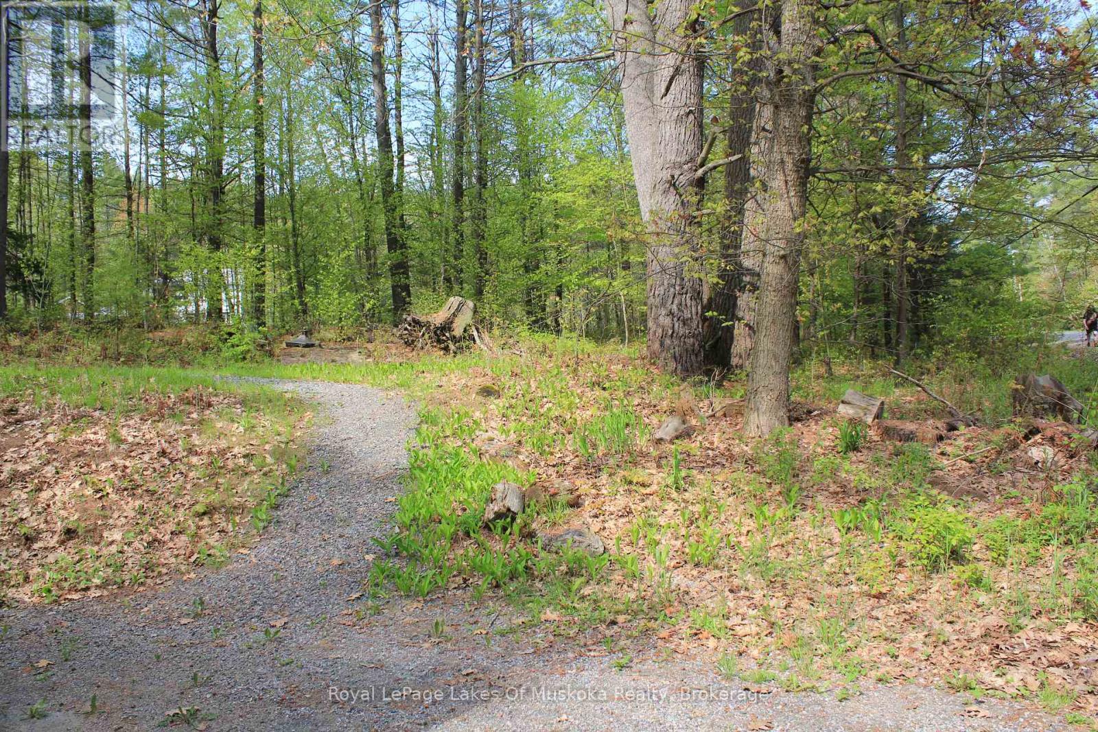 886 Muskoka 10 Road, Huntsville (Stephenson), Ontario  P0B 1L0 - Photo 11 - X13207060