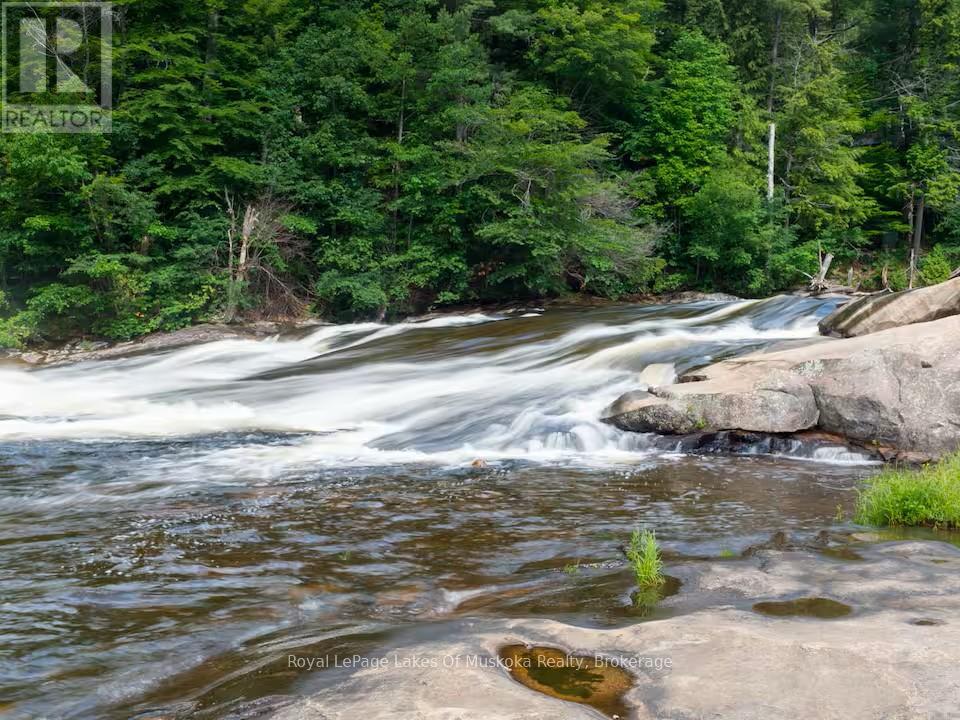 886 Muskoka 10 Road, Huntsville (Stephenson), Ontario  P0B 1L0 - Photo 44 - X13207060
