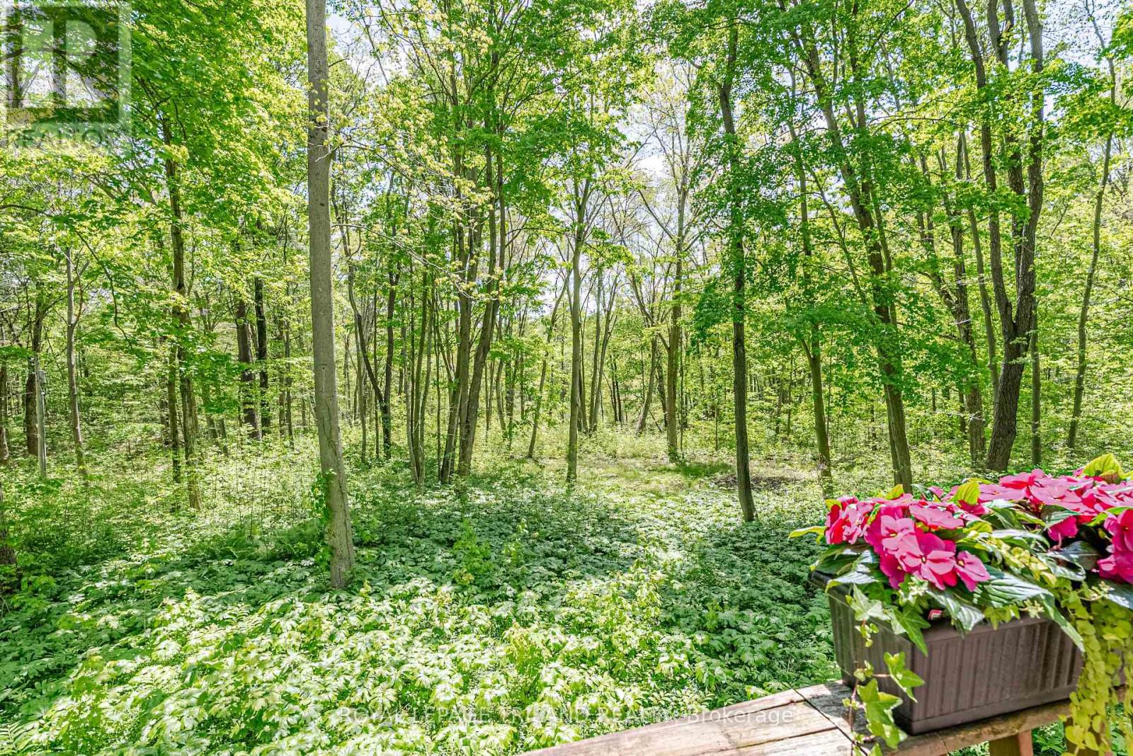 1591 Elgin Road, Thames Centre, Ontario  N0L 1G6 - Photo 42 - X13207062