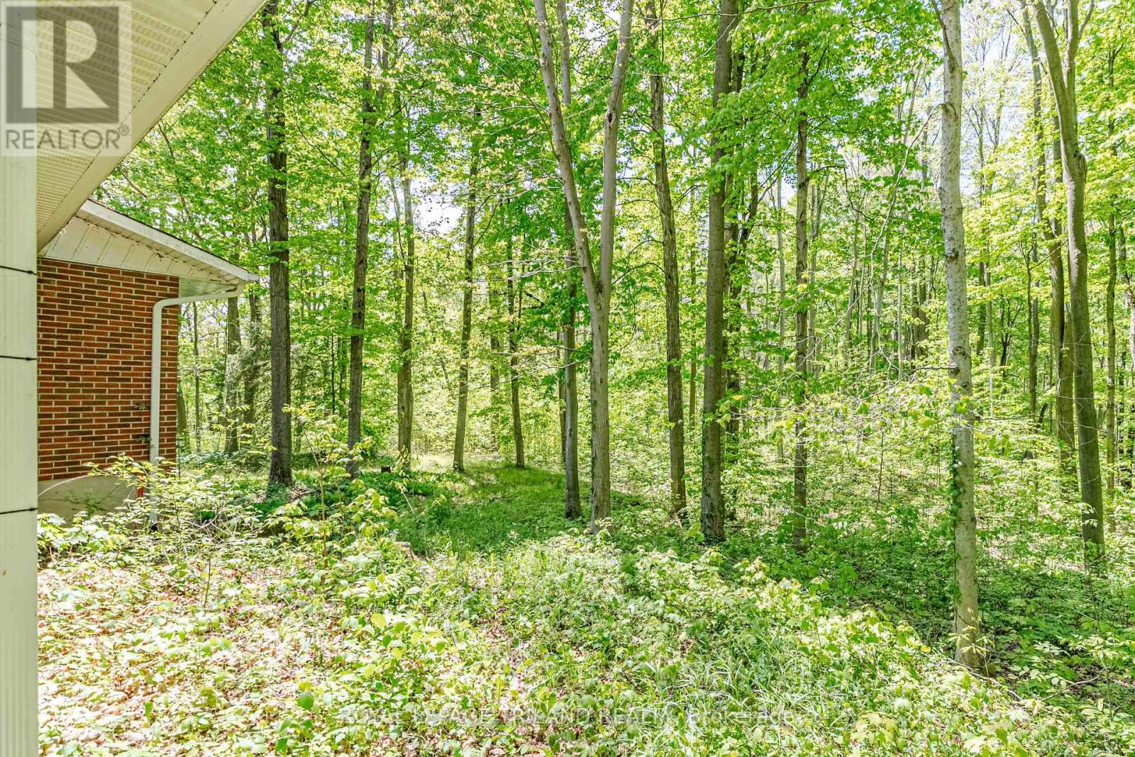 1591 Elgin Road, Thames Centre, Ontario  N0L 1G6 - Photo 43 - X13207062