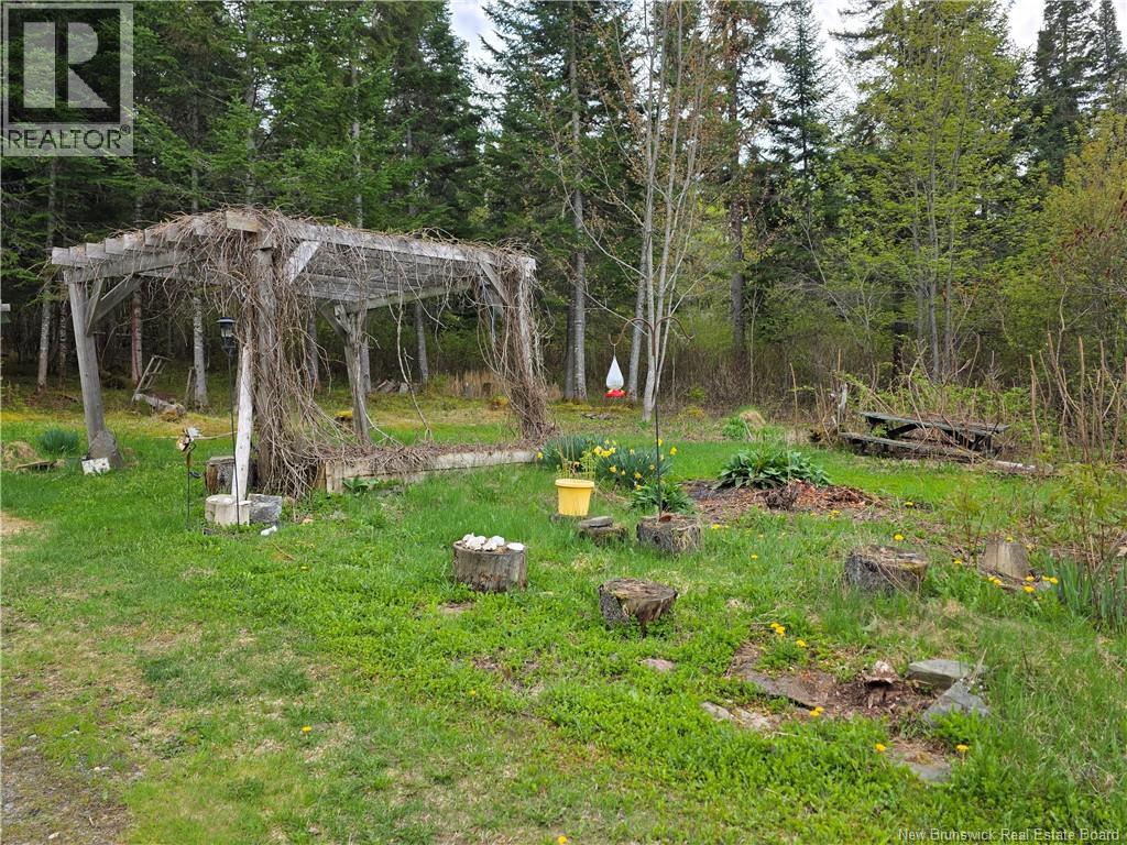 4098 Route 385, Nictau, New Brunswick  E7H 3B1 - Photo 3 - NB140501