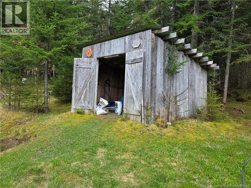 4098 Route 385, Nictau, New Brunswick  E7H 3B1 - Photo 4 - NB140501