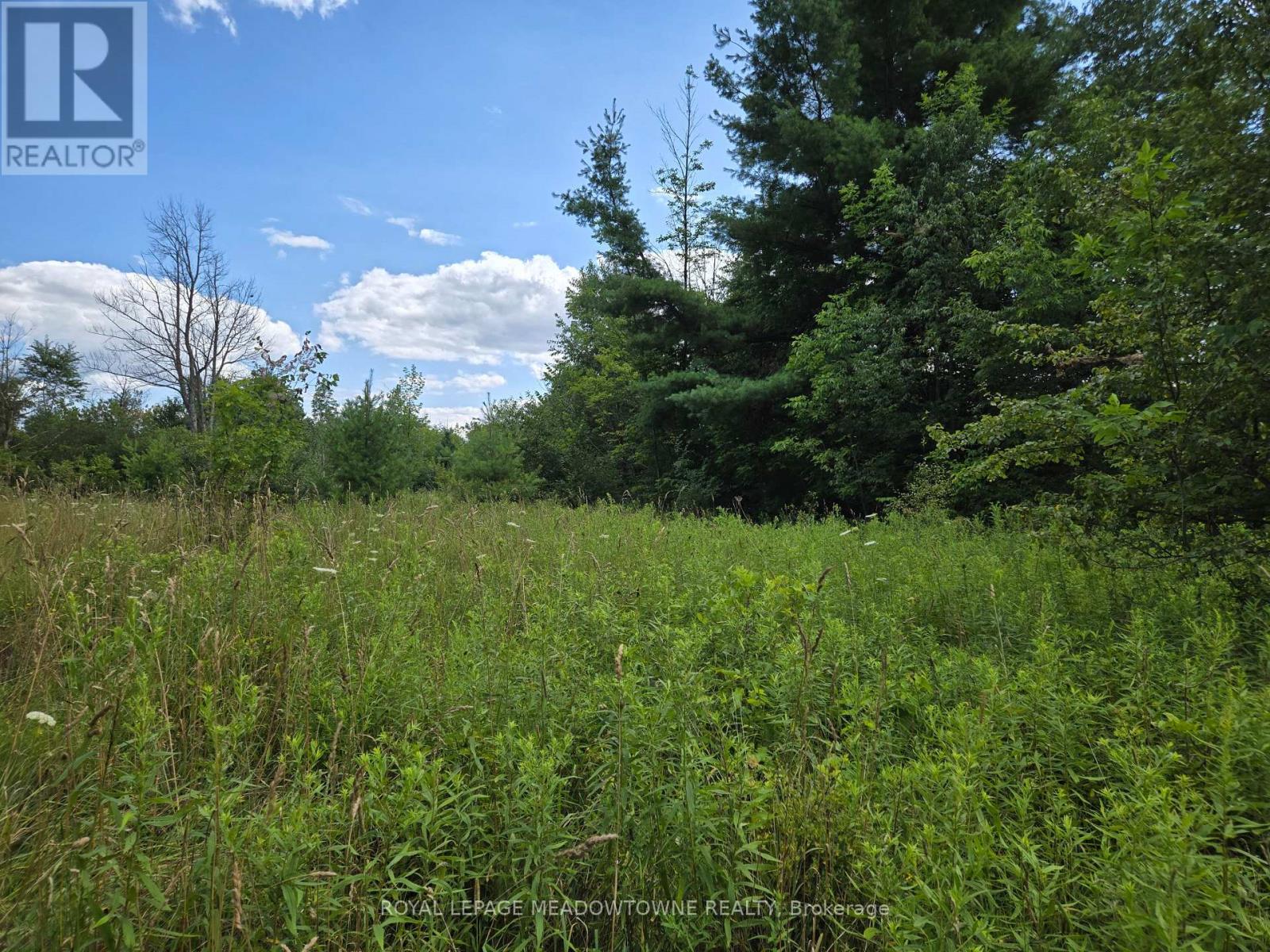 9414 First Line Nassagaweya, Milton, Ontario  L0P 1J0 - Photo 16 - W13207040