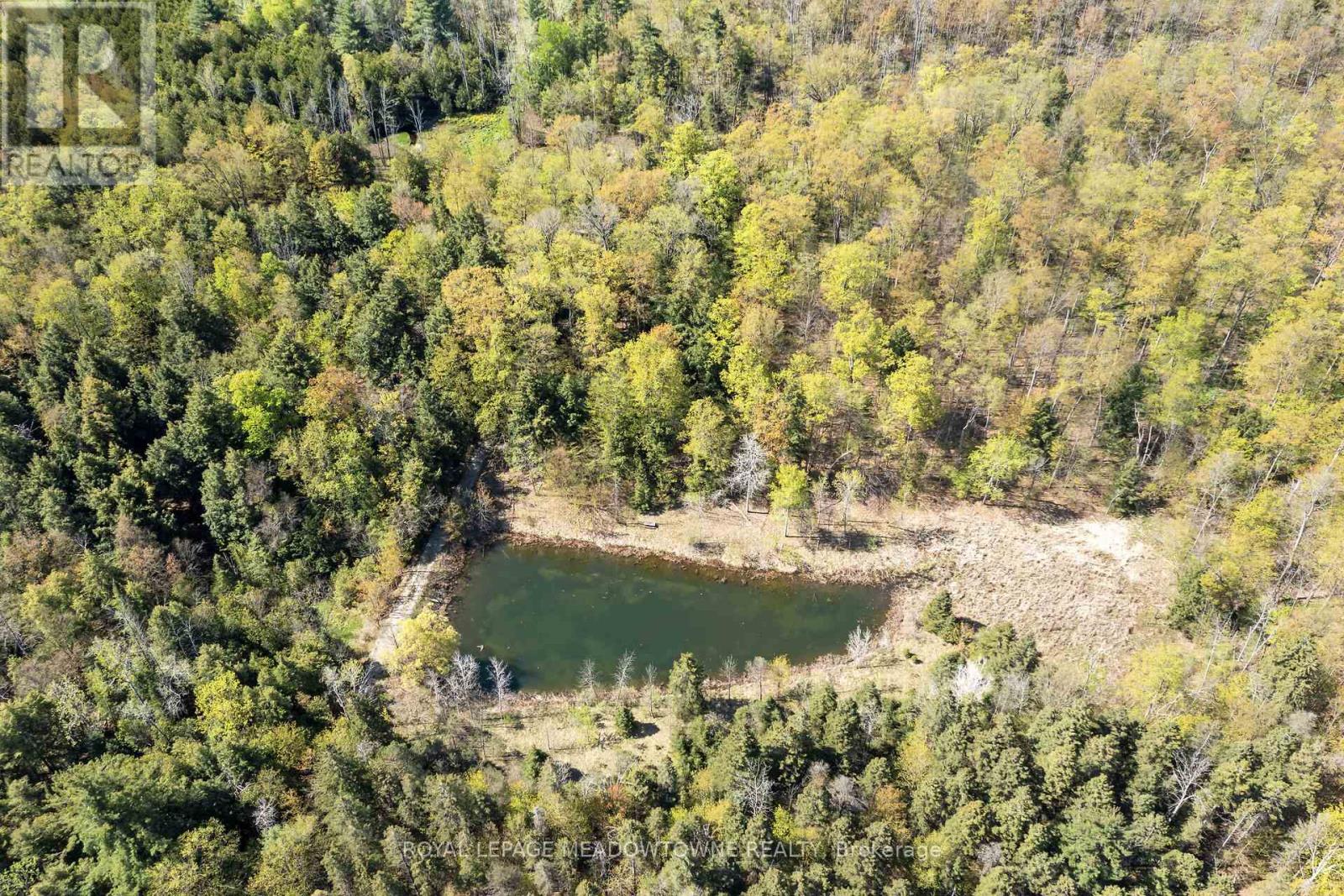 9414 First Line Nassagaweya, Milton, Ontario  L0P 1J0 - Photo 6 - W13207040