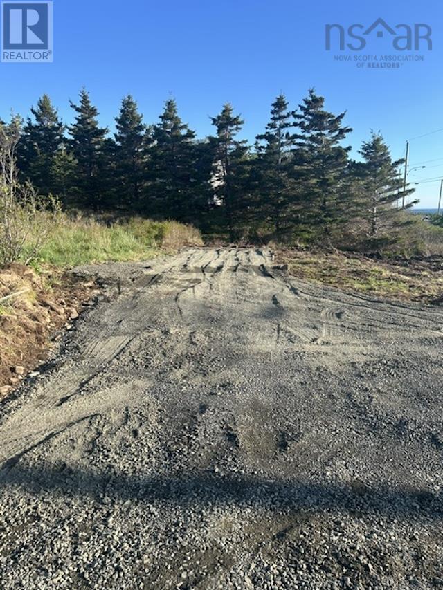 Land Overcove Road, Freeport, Nova Scotia  B0V 1B0 - Photo 7 - 202612421