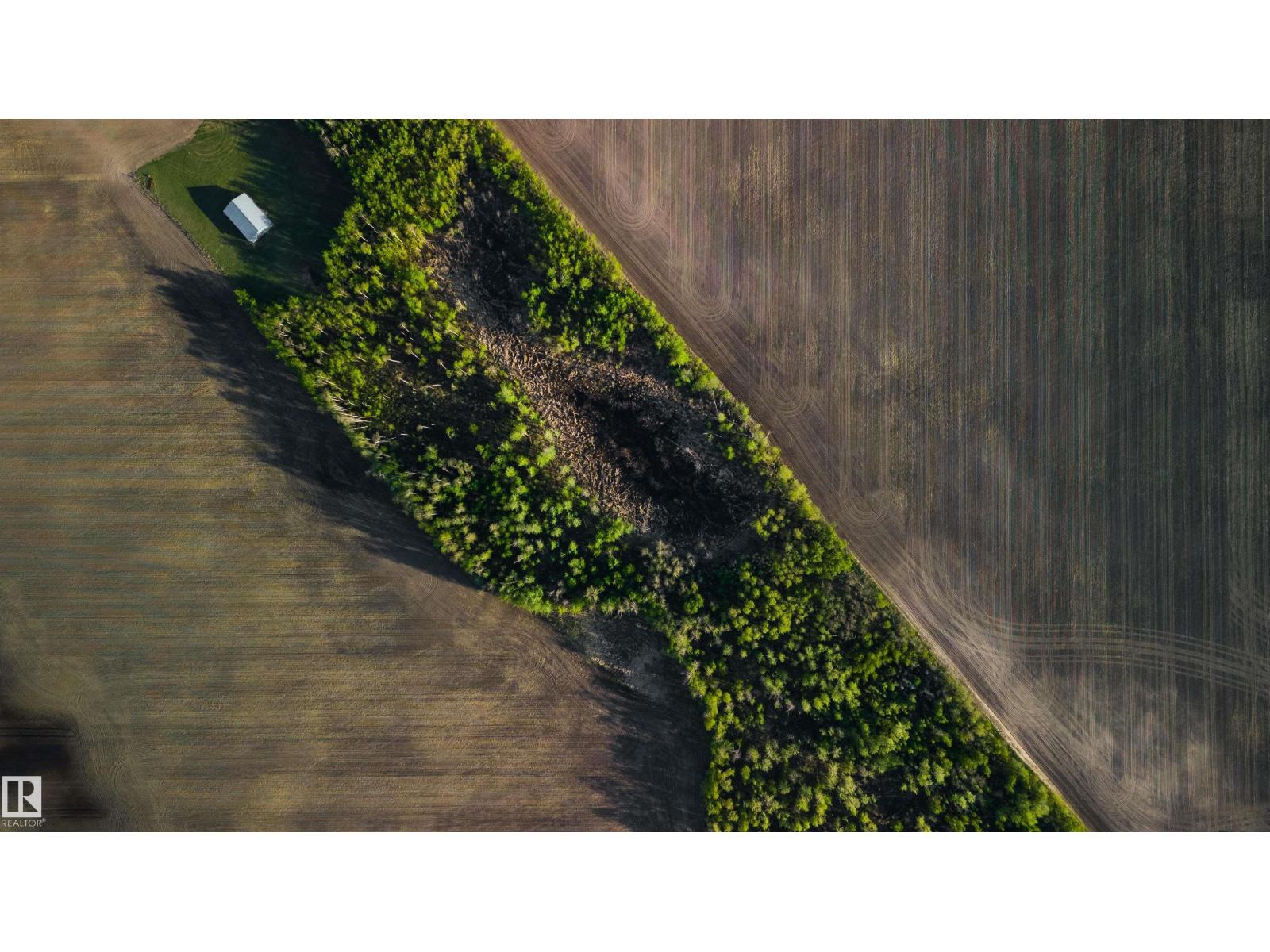 Lorem Ipsum Dolor Sit, Rural Lamont County, Alberta  T0B  - Photo 5 - DEMO29816977