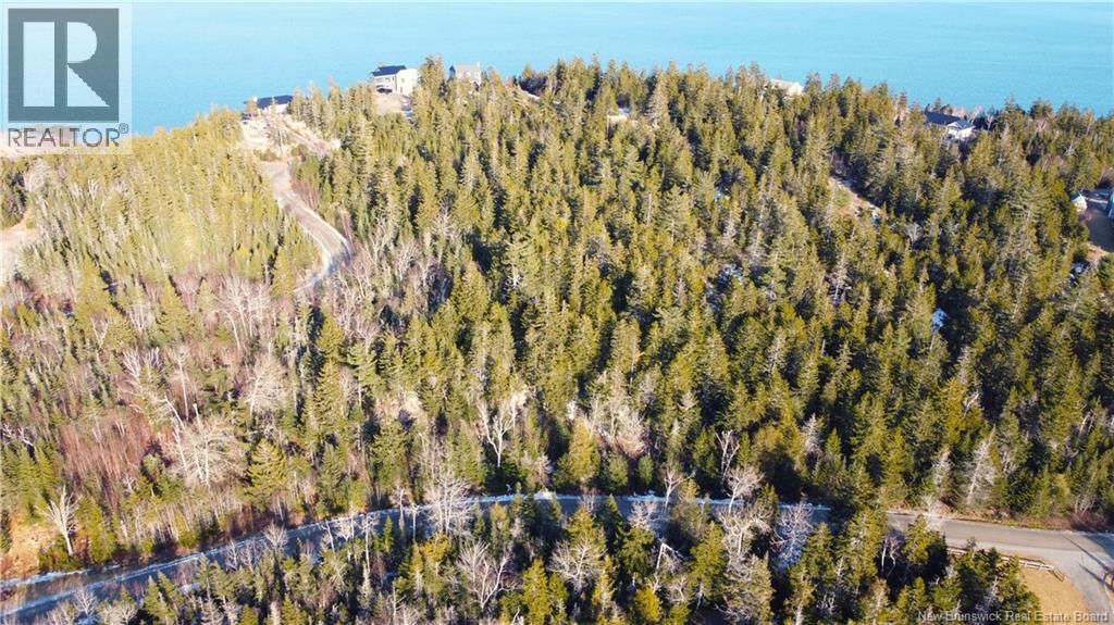 Lot 29 Kilmarnock Head, Chamcook, New Brunswick  E5B 0A8 - Photo 11 - NB140510