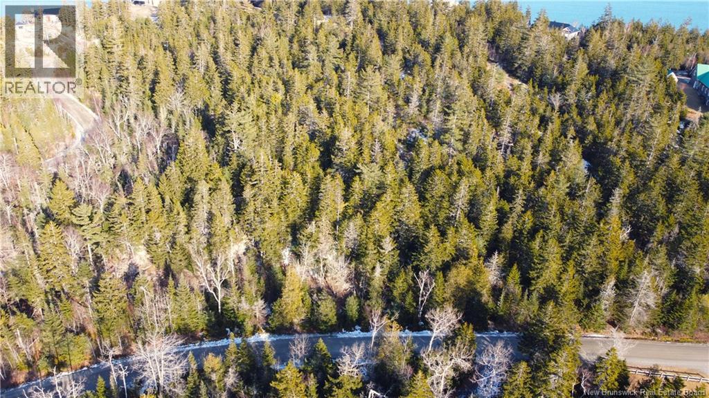 Lot 29 Kilmarnock Head, Chamcook, New Brunswick  E5B 0A8 - Photo 12 - NB140510