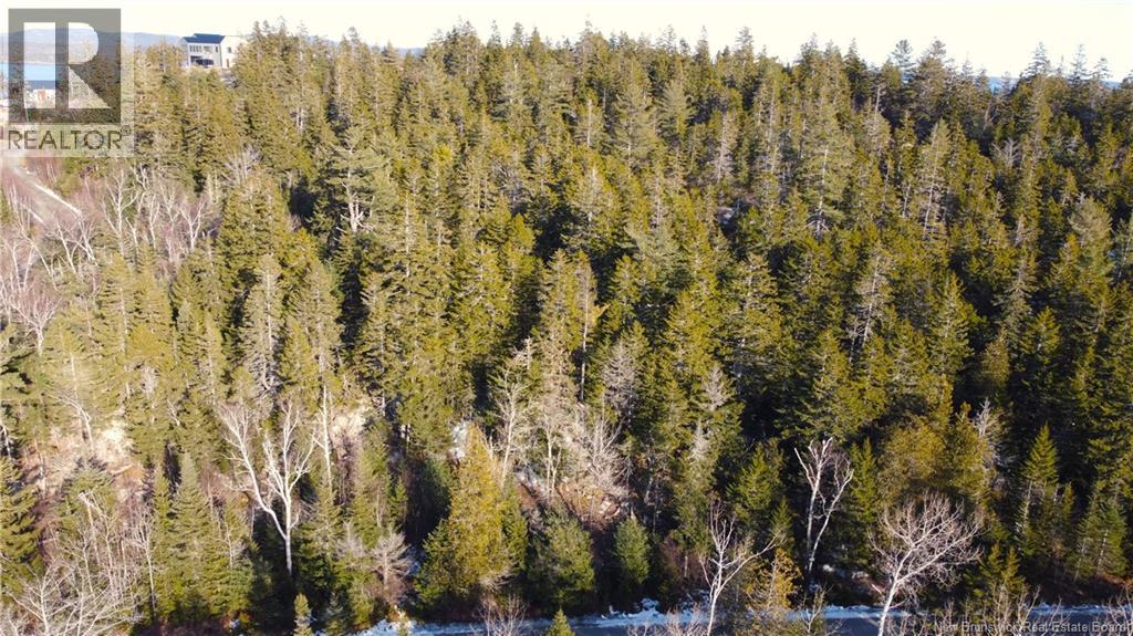 Lot 29 Kilmarnock Head, Chamcook, New Brunswick  E5B 0A8 - Photo 13 - NB140510
