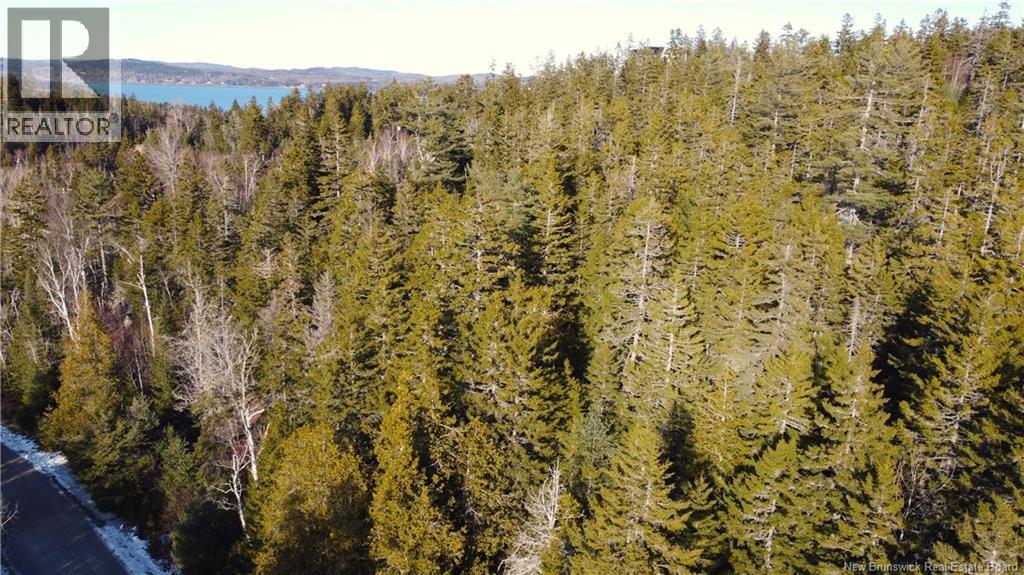Lot 29 Kilmarnock Head, Chamcook, New Brunswick  E5B 0A8 - Photo 15 - NB140510