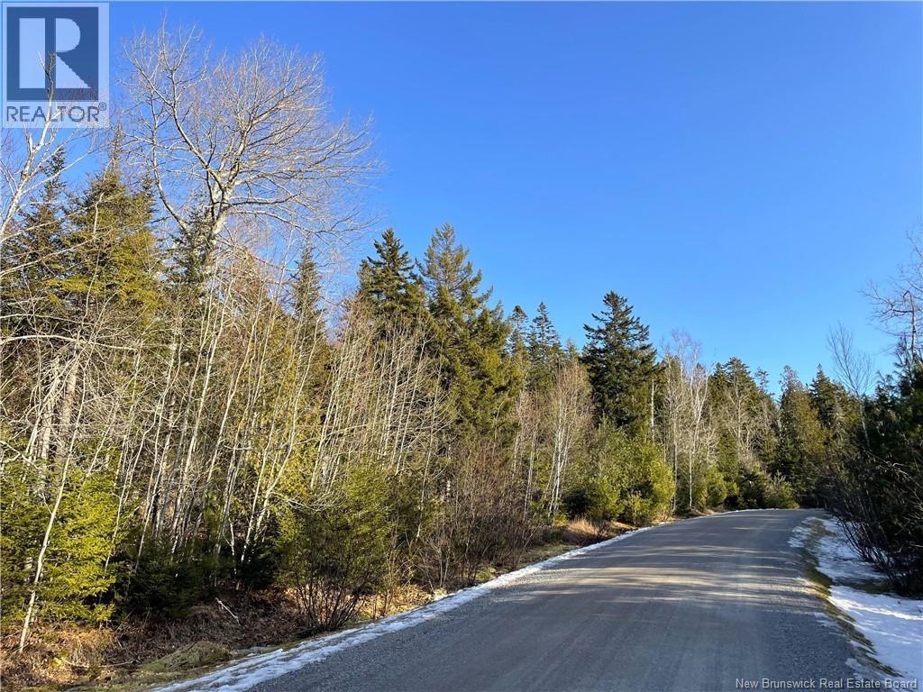 Lot 29 Kilmarnock Head, Chamcook, New Brunswick  E5B 0A8 - Photo 4 - NB140510