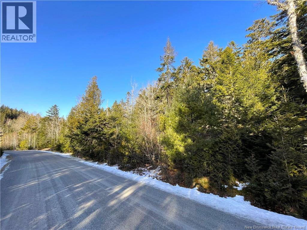 Lot 29 Kilmarnock Head, Chamcook, New Brunswick  E5B 0A8 - Photo 5 - NB140510