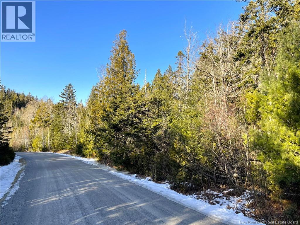 Lot 29 Kilmarnock Head, Chamcook, New Brunswick  E5B 0A8 - Photo 6 - NB140510
