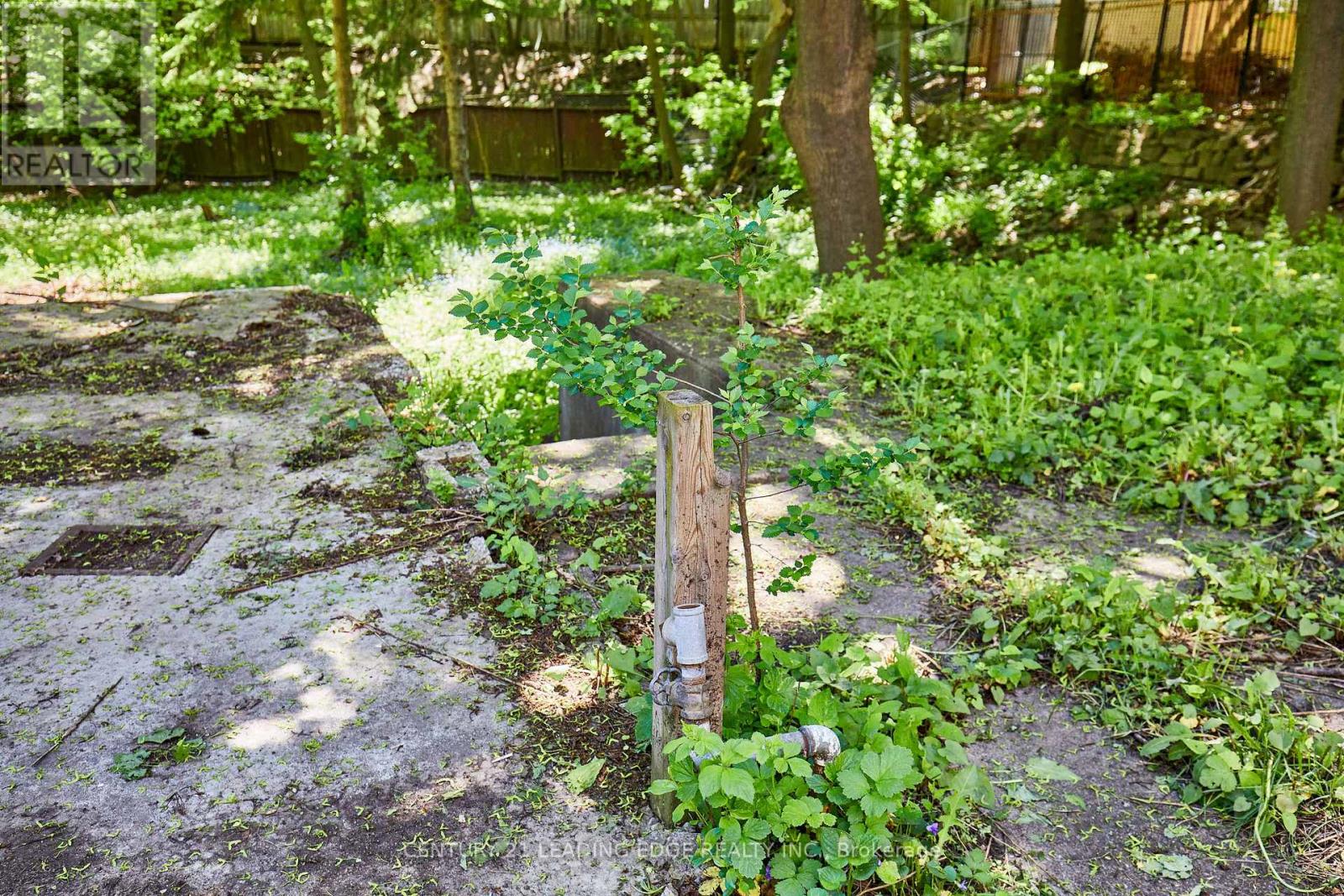 213 Phyllis Avenue, Toronto, Ontario  M1M 1Y9 - Photo 23 - E13166912