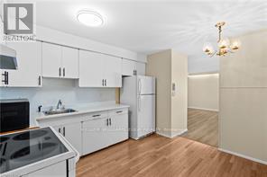 203 - 22 Mill Street, Hamilton, Ontario  L0R 2H0 - Photo 11 - X13207192