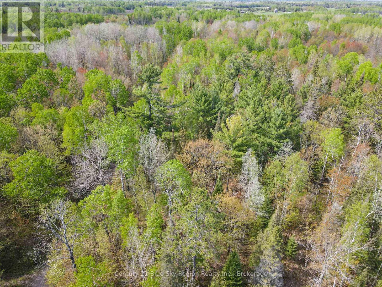 347 Hazel Glen Road, Nipissing, Ontario  P0H 1W0 - Photo 50 - X13207338