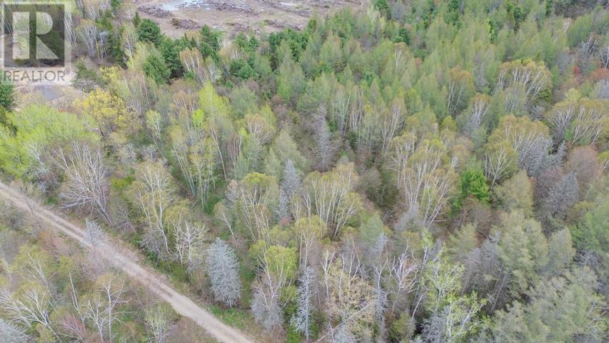 Lot 5 Giguere Rd, Thessalon, Ontario  P0R 1L0 - Photo 11 - SM261174