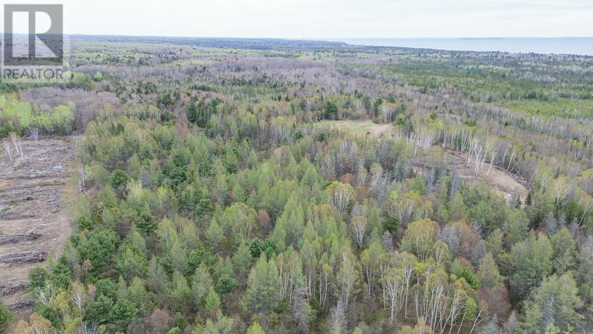 Lot 5 Giguere Rd, Thessalon, Ontario  P0R 1L0 - Photo 10 - SM261174