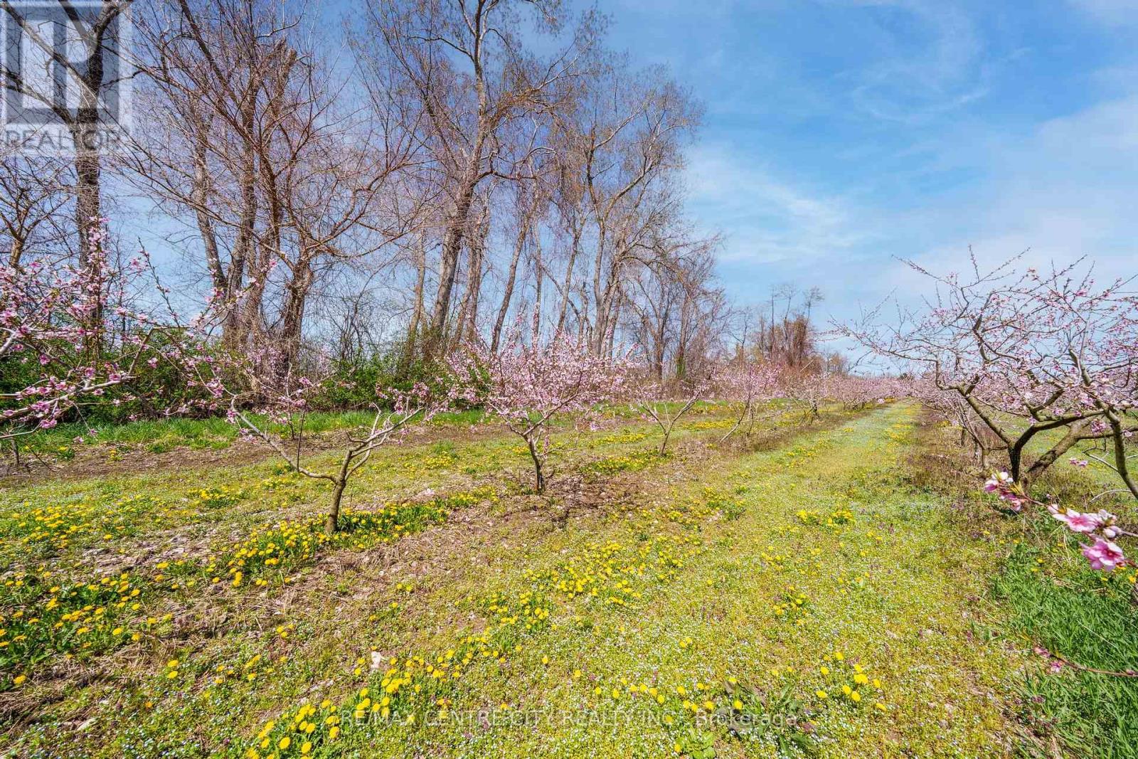 481 Concession 1 Road, Niagara-On-The-Lake, Ontario  L0S 1S0 - Photo 6 - X12776188